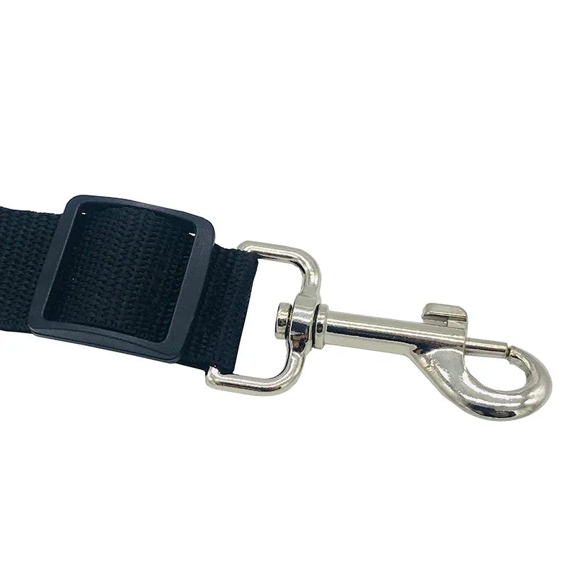 Dog Car Seat Belt