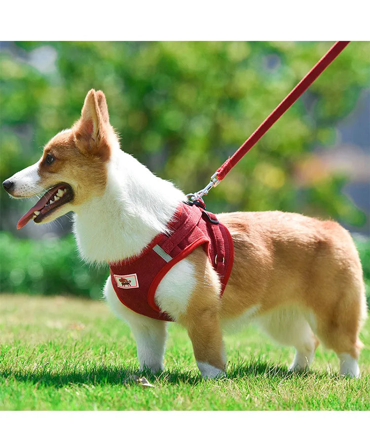 Dog Walking Harness with Chest Strap