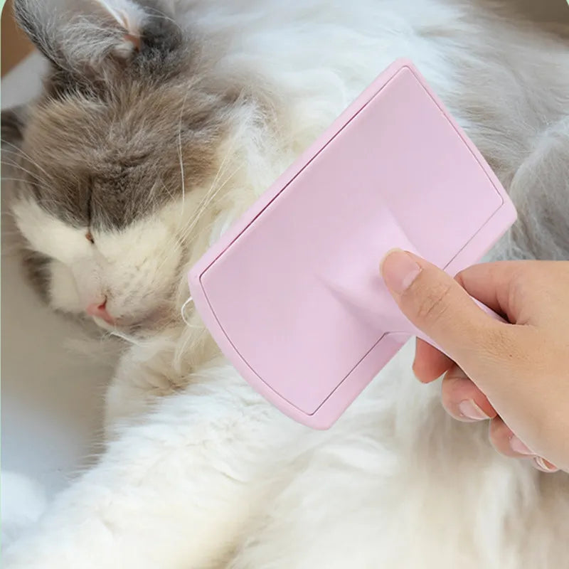 Stainless Steel Brush for Dogs