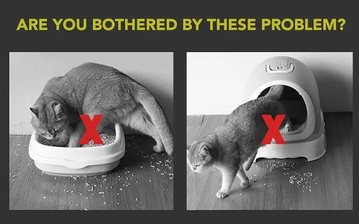 Double Layer Litter Mat for Cats - Non Slip and Waterproof