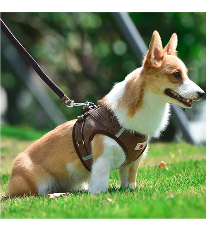 Dog Walking Harness with Chest Strap