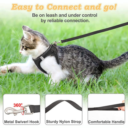 Cat Harness and Leash