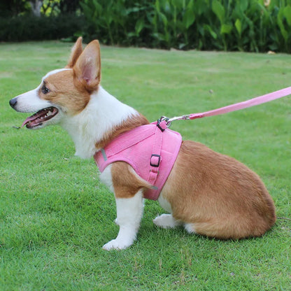 Dog Walking Harness with Chest Strap