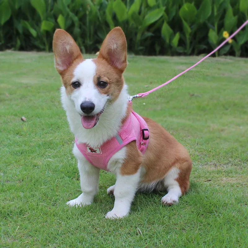 Dog Walking Harness with Chest Strap