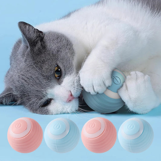 Interactive Cat's Toy Ball