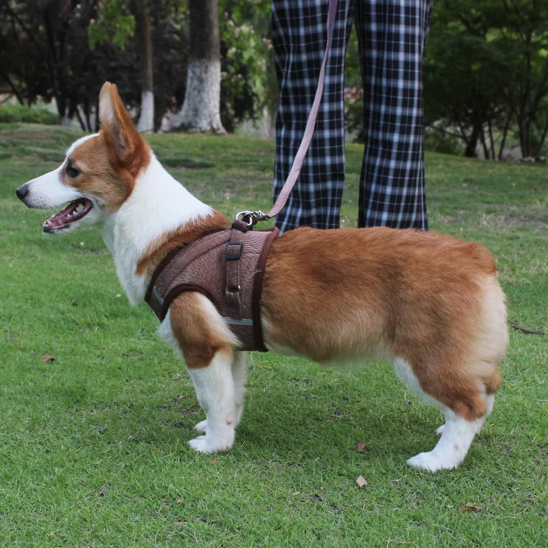 Dog Walking Harness with Chest Strap