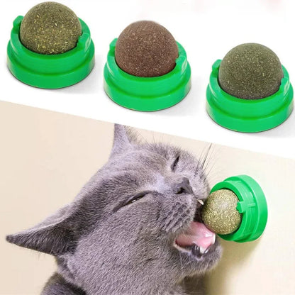 Natural Catnip Licking and Teething Ball for Cats