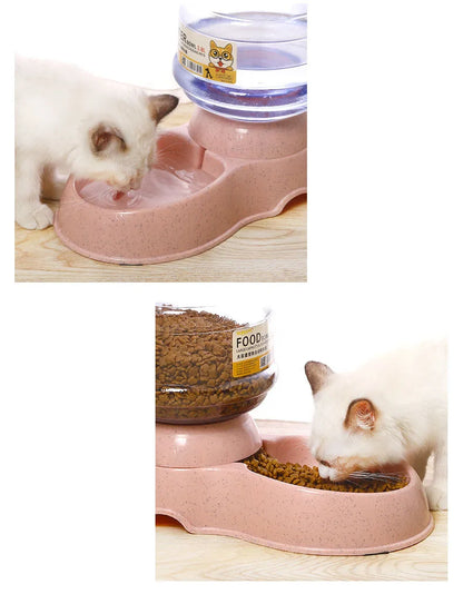 Automatic Feeder and Water Bottle for Dogs and Cats