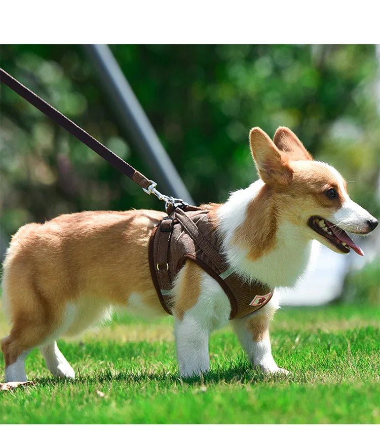 Dog Walking Harness with Chest Strap