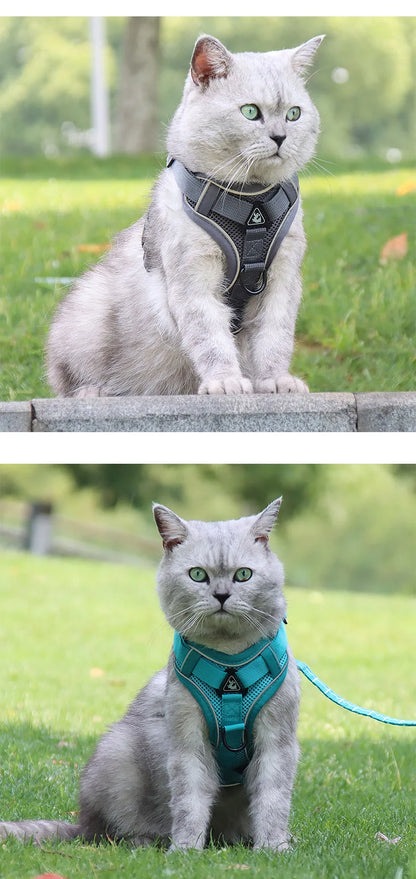 Chest Harness with Lead for Dogs and Cats
