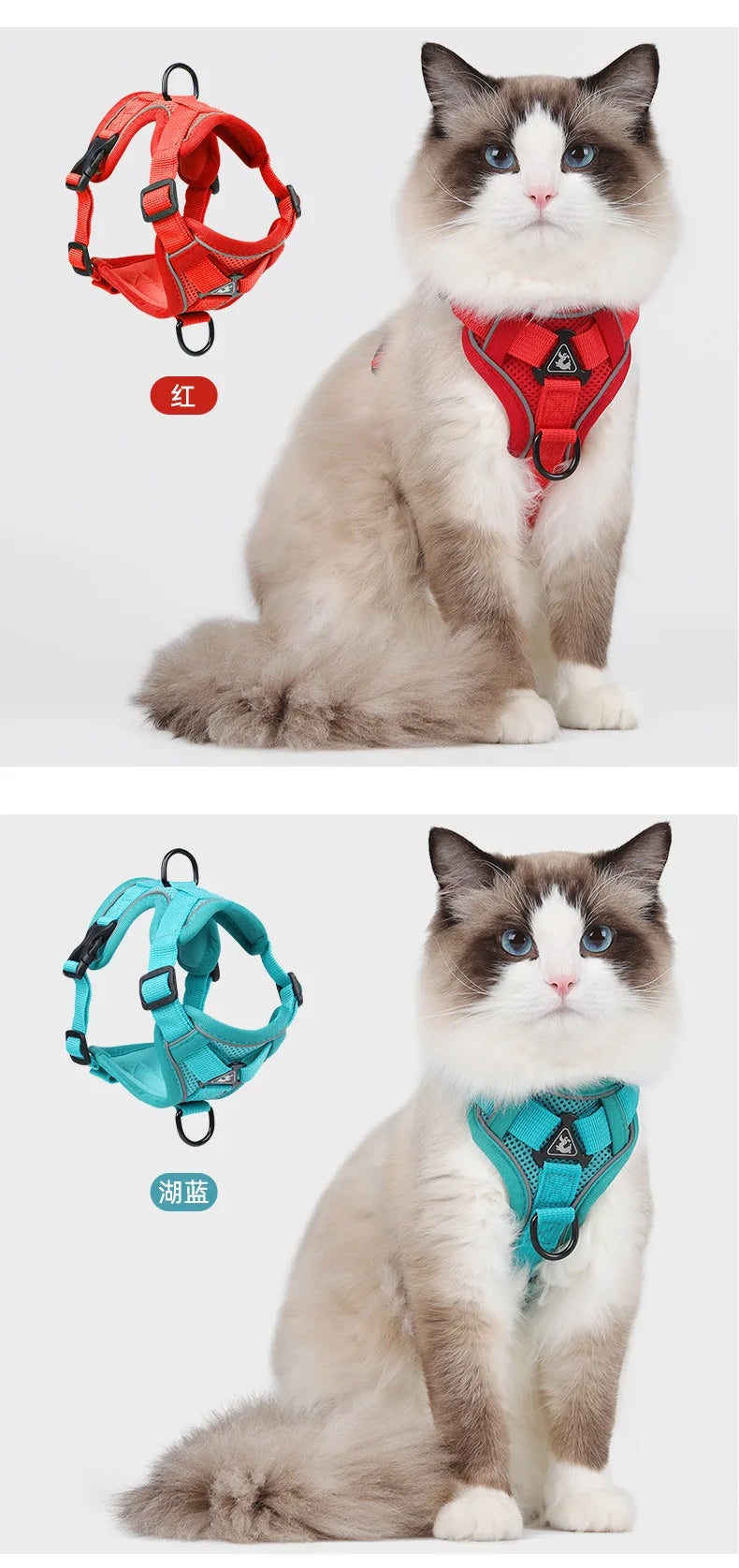Chest Harness with Lead for Dogs and Cats