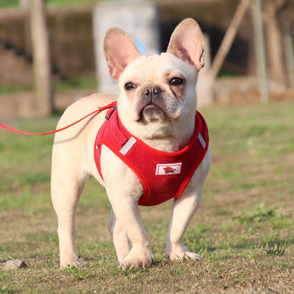 Dog Walking Harness with Chest Strap