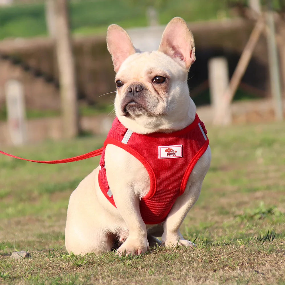 Dog Walking Harness with Chest Strap