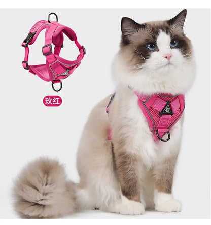 Chest Harness with Lead for Dogs and Cats