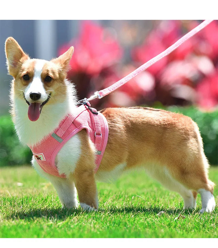 Dog Walking Harness with Chest Strap