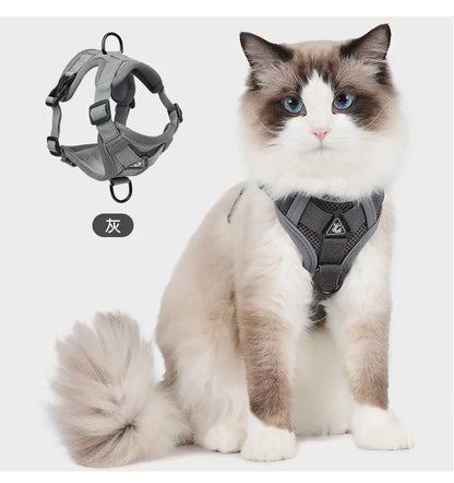 Chest Harness with Lead for Dogs and Cats