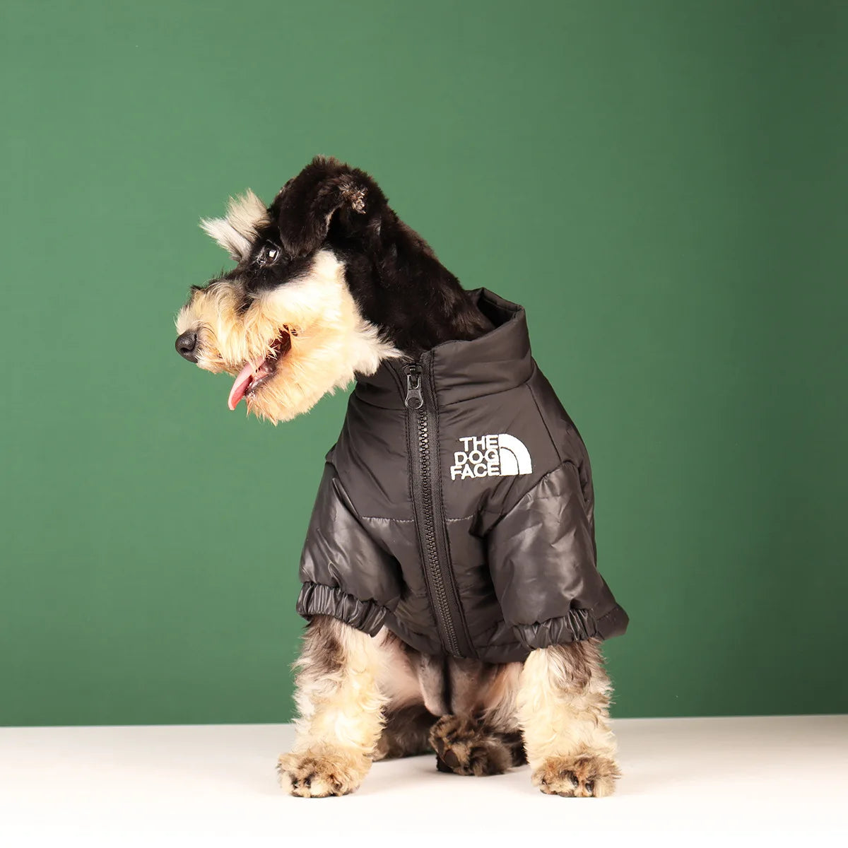 Winter Windproof Reflective Jacket for Dogs