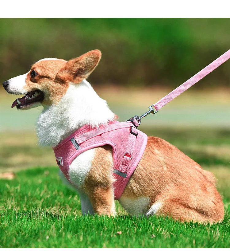 Dog Walking Harness with Chest Strap