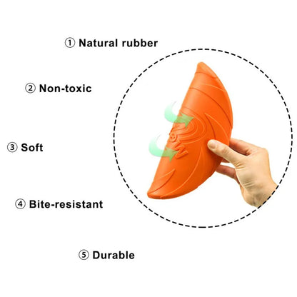 Durable Dog Frisbee for Outdoor Play and Fetch Fun