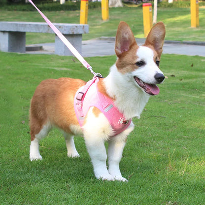 Dog Walking Harness with Chest Strap