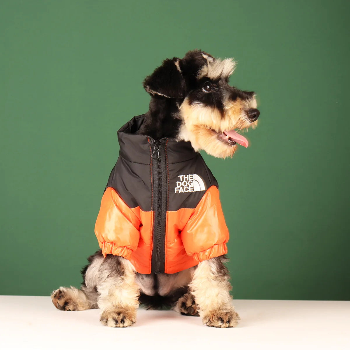 Winter Windproof Reflective Jacket for Dogs