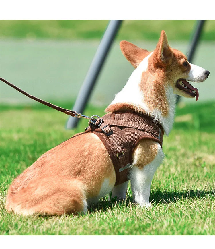 Dog Walking Harness with Chest Strap