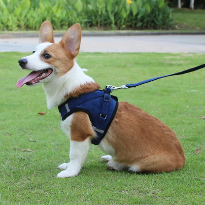 Dog Walking Harness with Chest Strap