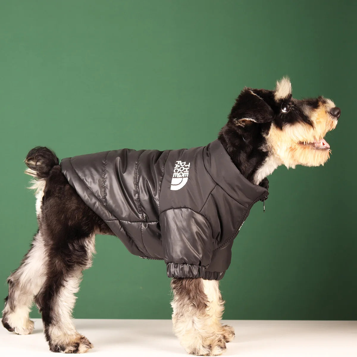 Winter Windproof Reflective Jacket for Dogs