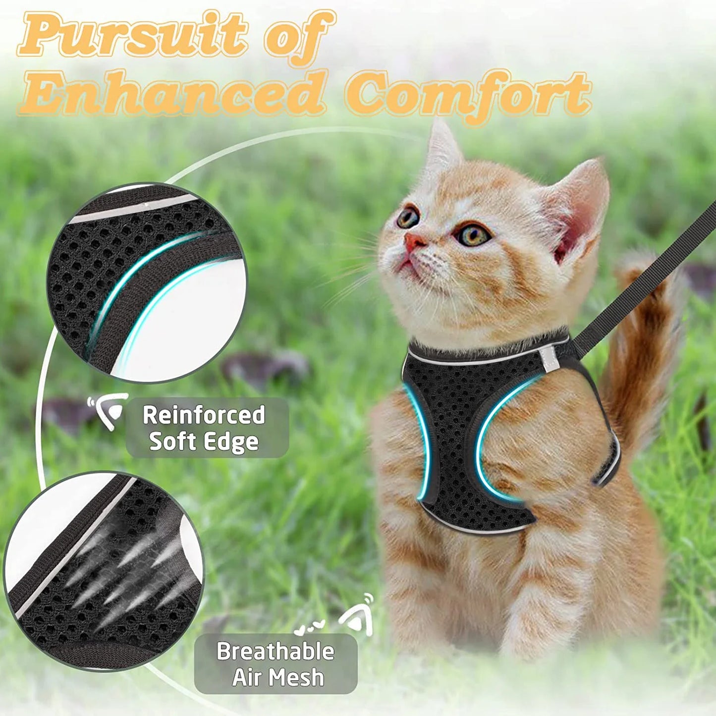 Cat Harness and Leash