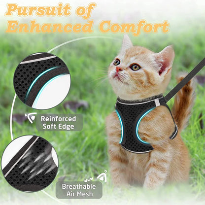 Cat Harness and Leash