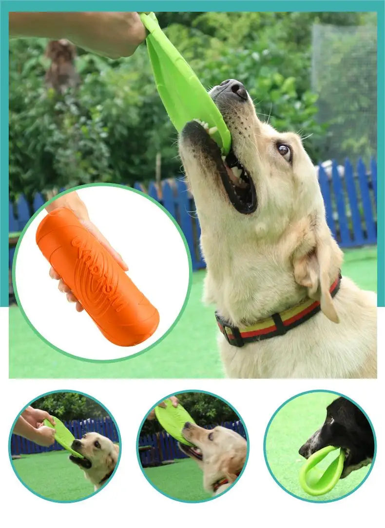 Durable Dog Frisbee for Outdoor Play and Fetch Fun