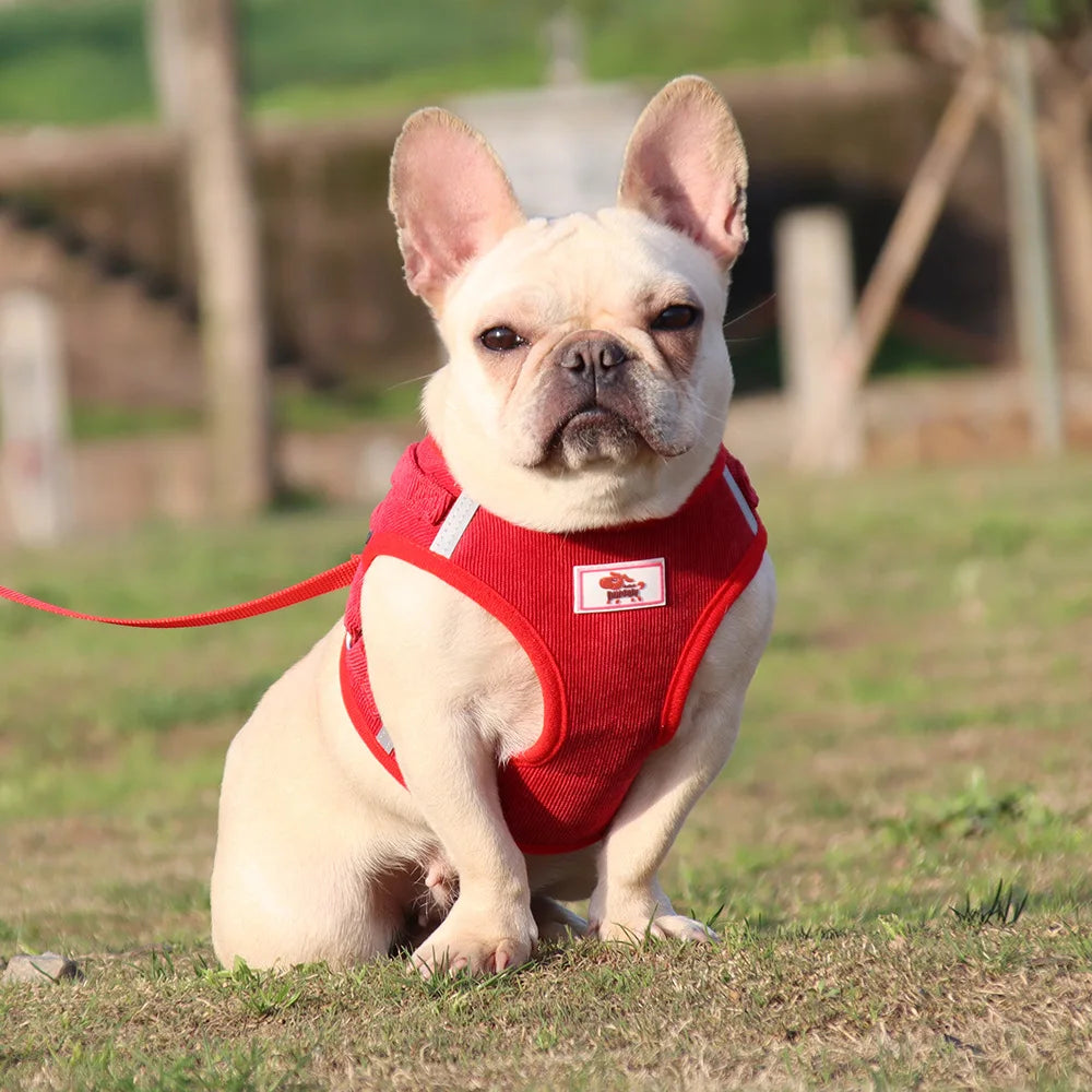 Dog Walking Harness with Chest Strap