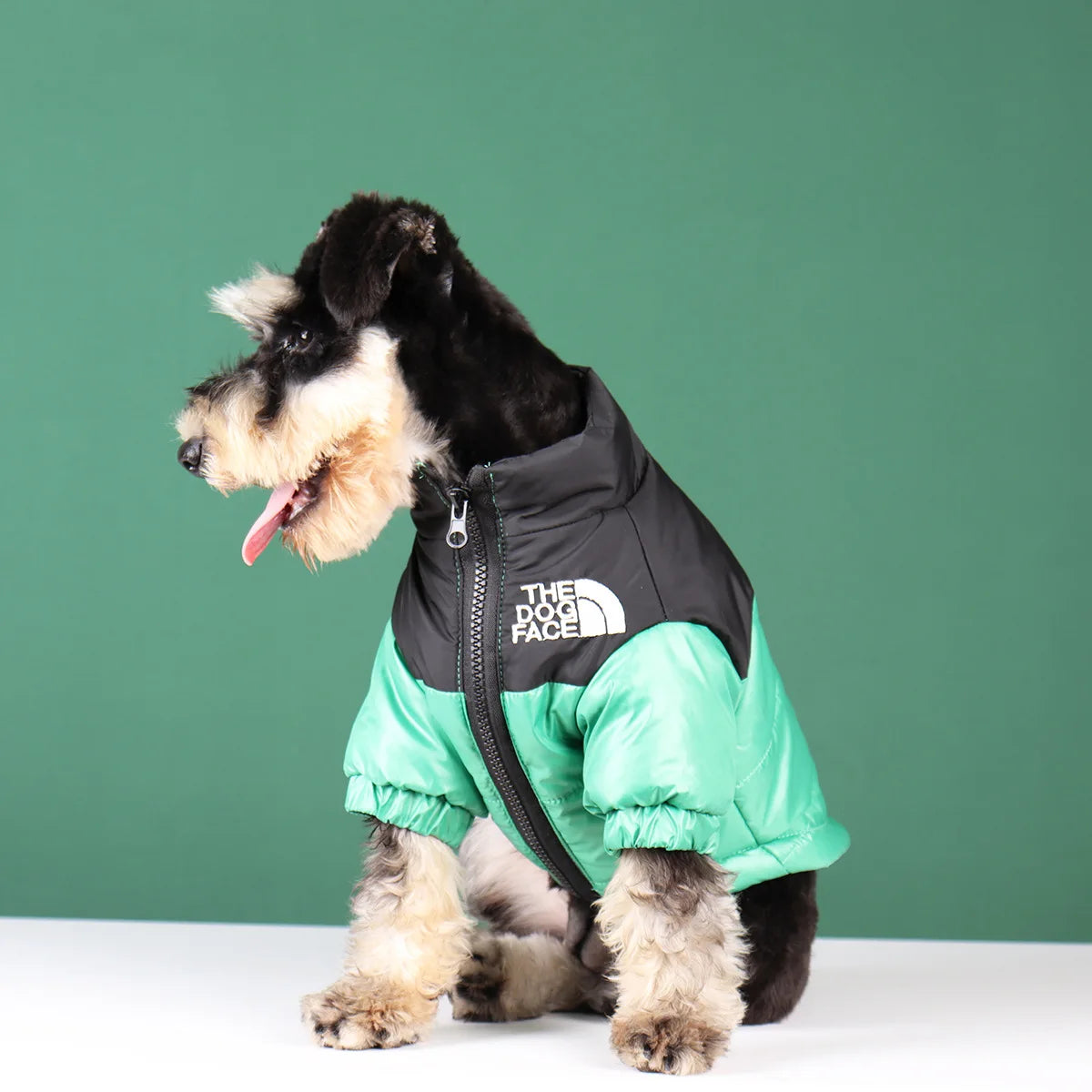 Winter Windproof Reflective Jacket for Dogs
