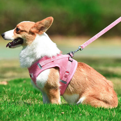 Dog Walking Harness with Chest Strap