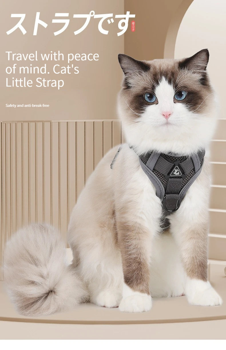 Chest Harness with Lead for Dogs and Cats