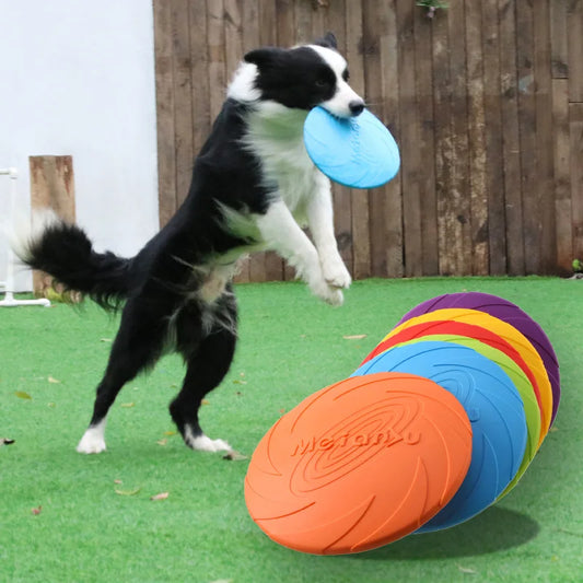 Durable Dog Frisbee for Outdoor Play and Fetch Fun