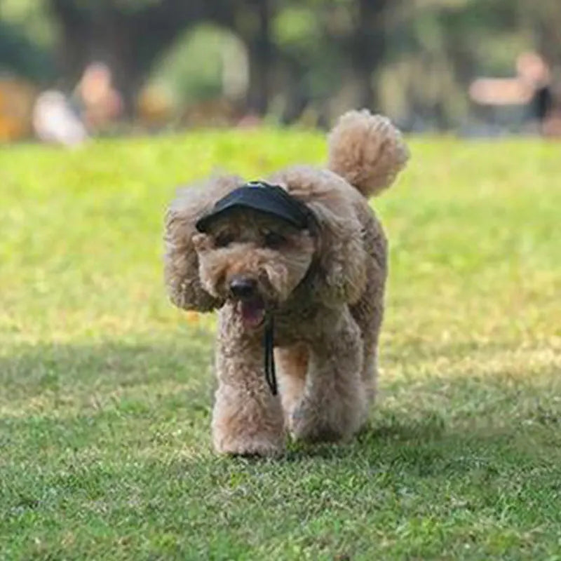 Baseball Cap for Small Dogs - Solid Oxford Visor Hat